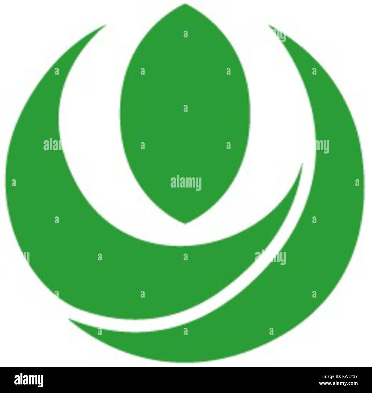 Kurihara, situata nella prefettura di Miyagi, in Giappone, è una città formata dalla fusione di nove città e un villaggio. Ad aprile 2020, ha una popolazione stimata di 66.565. La città è conosciuta per la sua ricca bellezza naturale, tra cui montagne e foreste, e offre un ambiente tranquillo con paesaggi pittoreschi. La sua economia si basa principalmente sull'agricoltura, producendo frutta, verdura e riso di alta qualità. Foto Stock