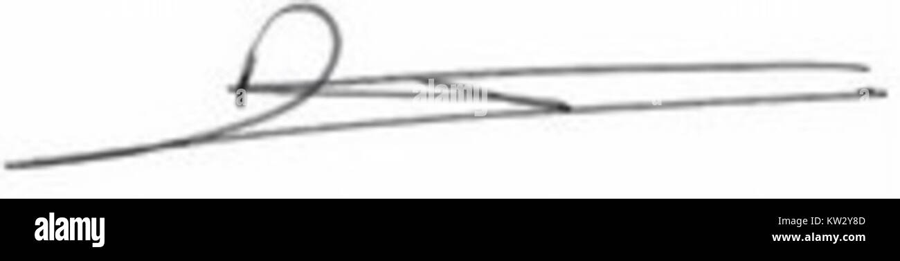 La firma di Martine Aubry, una figura politica in Francia, che rappresenta la sua influenza nella politica francese. La sua firma è spesso associata a importanti riforme sociali e al suo lavoro nel servizio pubblico. Foto Stock