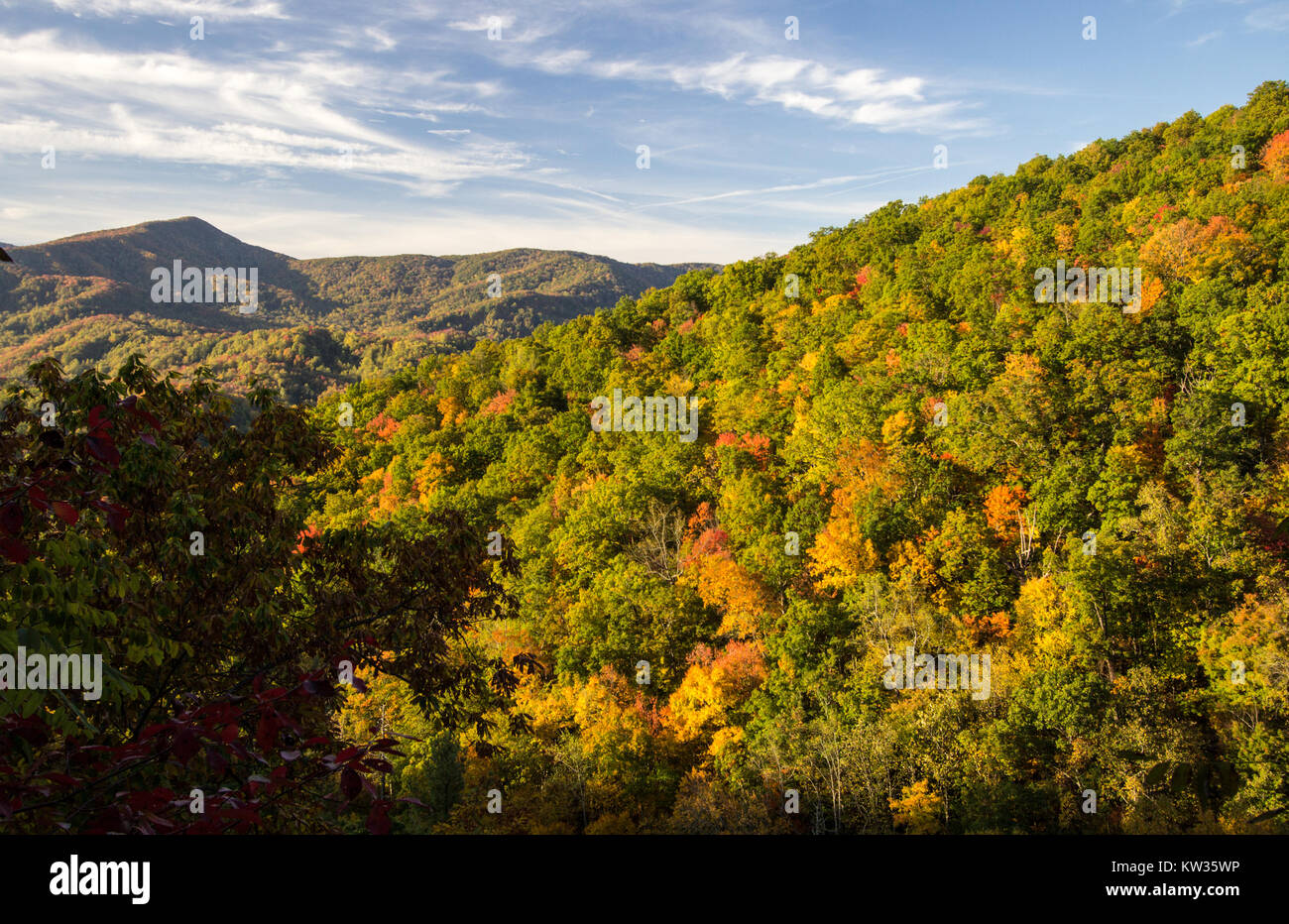 Smoky Mountains paesaggi d'autunno. I colori autunnali da un si affacciano nel Parco Nazionale di Great Smoky Mountains. Foto Stock