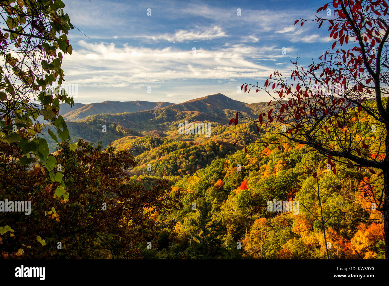 Smoky Mountains paesaggi d'autunno. I colori autunnali da un si affacciano nel Parco Nazionale di Great Smoky Mountains. Foto Stock