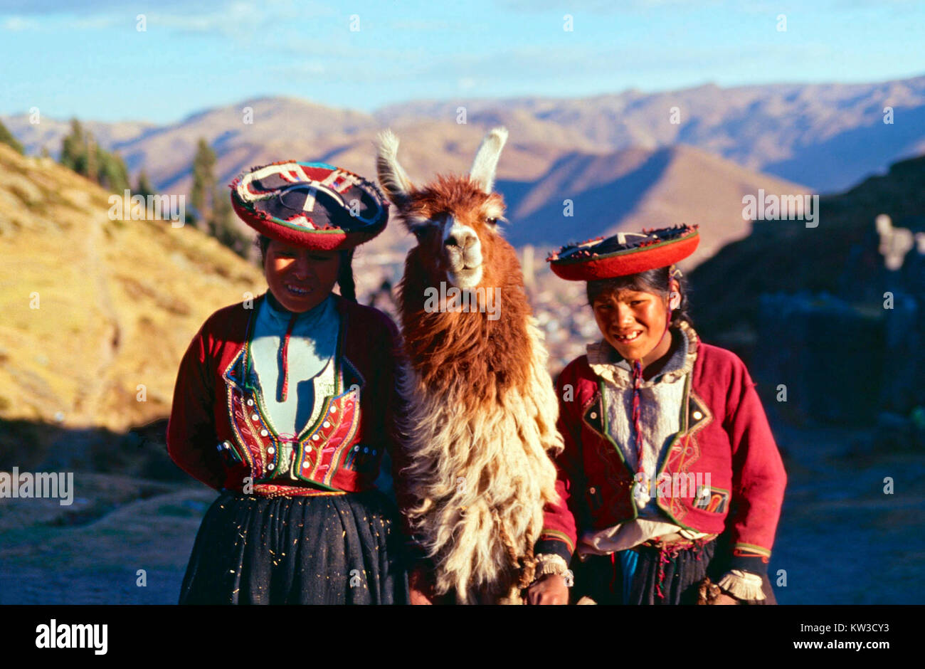 Il quechua ragazze con i loro llama,Perù Foto Stock