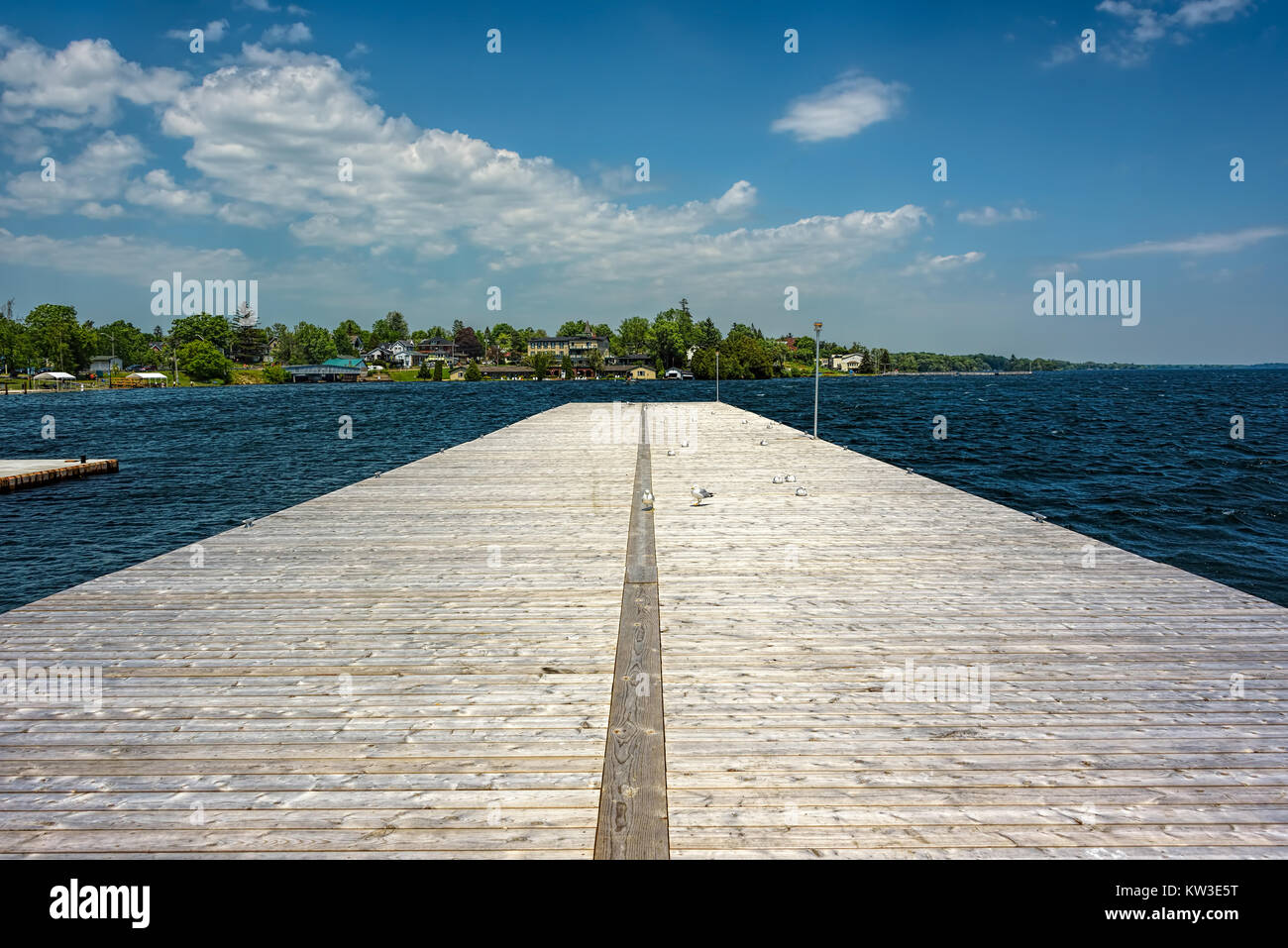 Gabbiani su un molo in legno sotto un cielo azzurro con soffici nuvole bianche Foto Stock