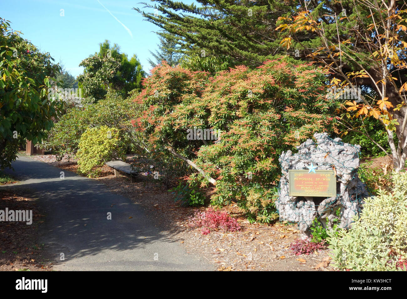Il Blue Star Memorial by-way si trova presso i giardini botanici della costa di Mendocino. Onora i veterani e mette in risalto la bellezza naturale della regione, con particolare attenzione al ricordo e alla conservazione botanica. Foto Stock