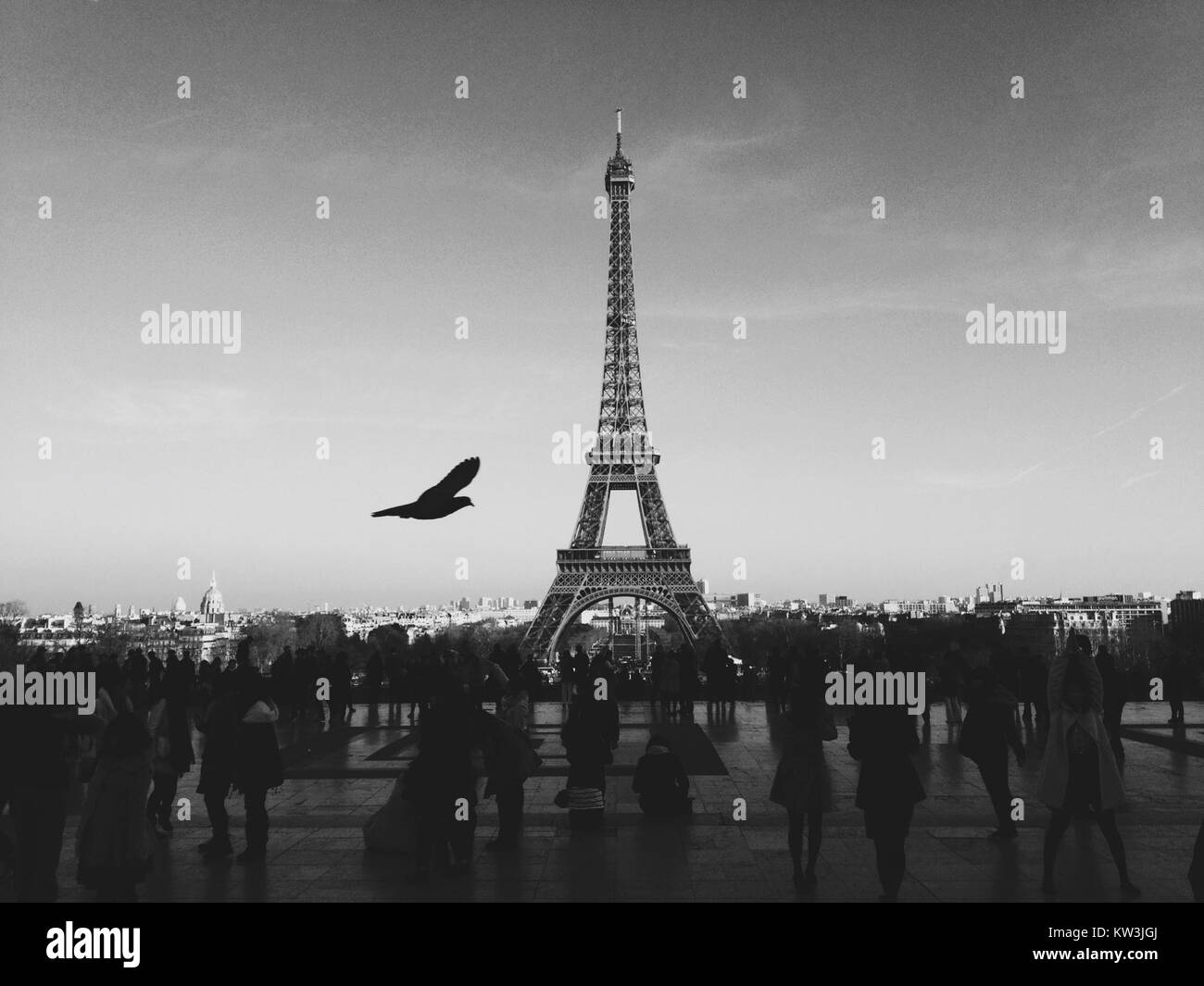 Fotografia in bianco e nero intitolata "City Bird People", raffigurante individui in un ambiente urbano, identificati dal numero 23700121733. Foto Stock