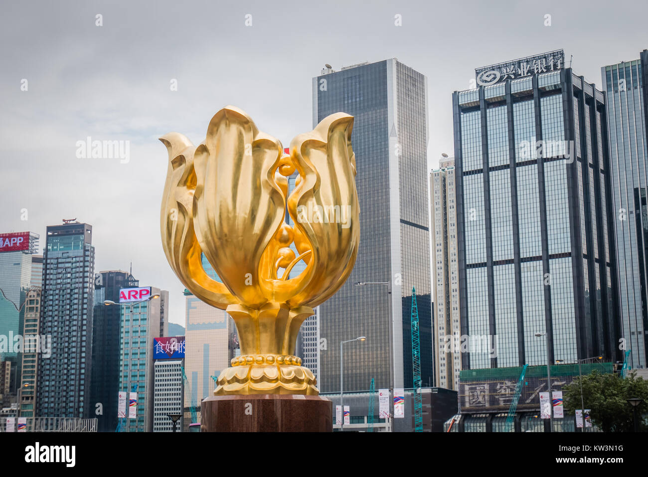 Hong kong Golden Bauhinia Square Foto Stock