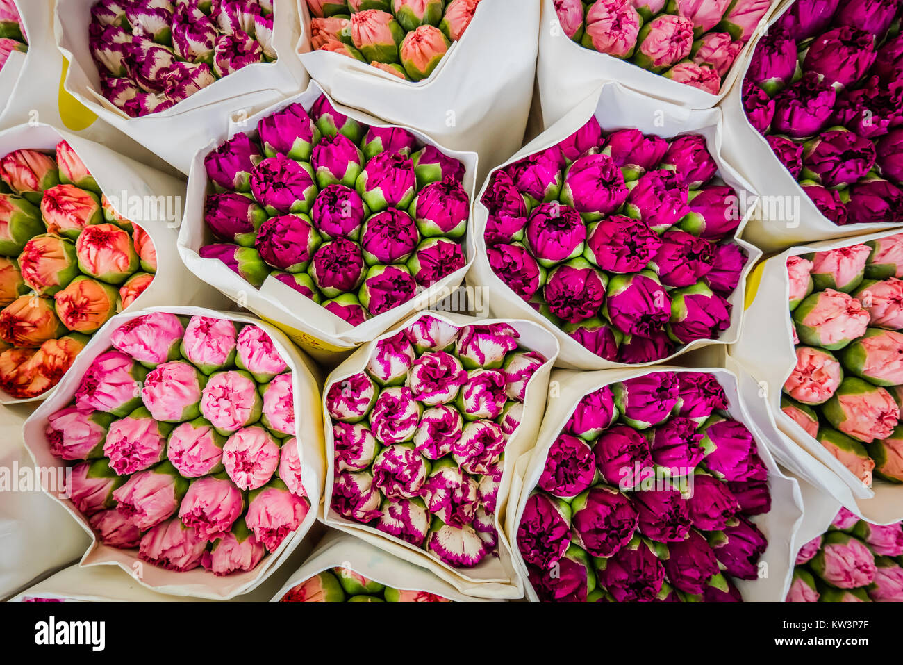 Hong Kong il mercato dei fiori Foto Stock