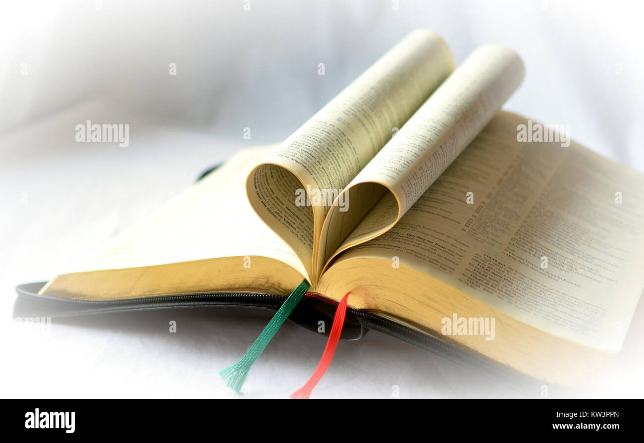 L'opera d'arte "Bibel, Herz aus Buchseiten" (Bibbia, cuore fatto di pagine) è una rappresentazione creativa di una forma di cuore formata da pagine di una Bibbia, che simboleggia la fede, l'amore e la spiritualità attraverso un mezzo artistico unico. Foto Stock