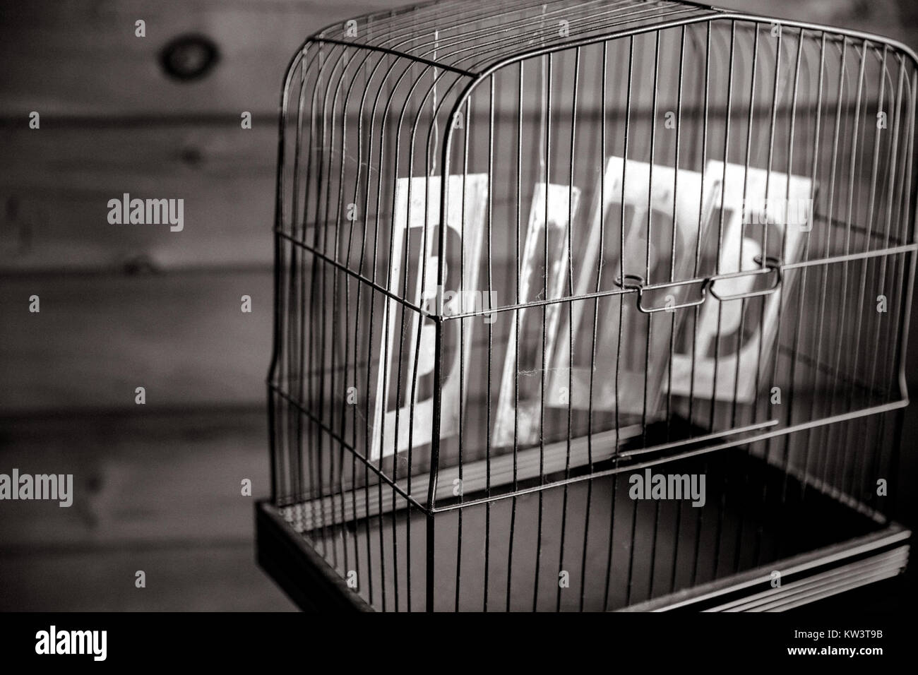 Una fotografia monocromatica che cattura un uccello arroccato all'interno di una tradizionale gabbia per uccelli, sottolineando il contrasto tra la forma naturale dell'uccello e il design geometrico della gabbia. Foto Stock