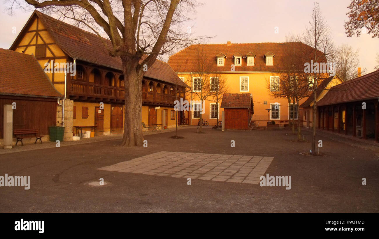Il Bienenenmuseum, o Bee Museum, è un museo dedicato allo studio e all'esposizione delle specie di api, dei loro habitat e dell'importanza delle api negli ecosistemi, che offre mostre educative sull'apicoltura e la conservazione. Foto Stock
