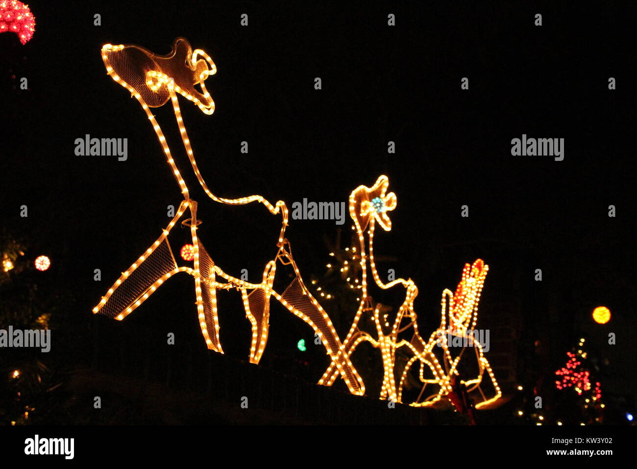 Illumina la renna decorazioni in Dyker Heights, Brooklyn Foto Stock