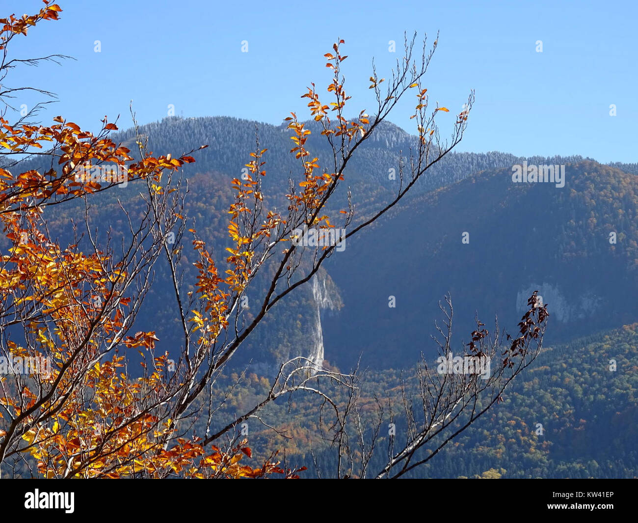 Questa scena autunnale, catturata con colori vivaci, ritrae una vista serena della natura durante la stagione autunnale, sottolineando il cambiamento del fogliame e l'atmosfera tranquilla. Foto Stock