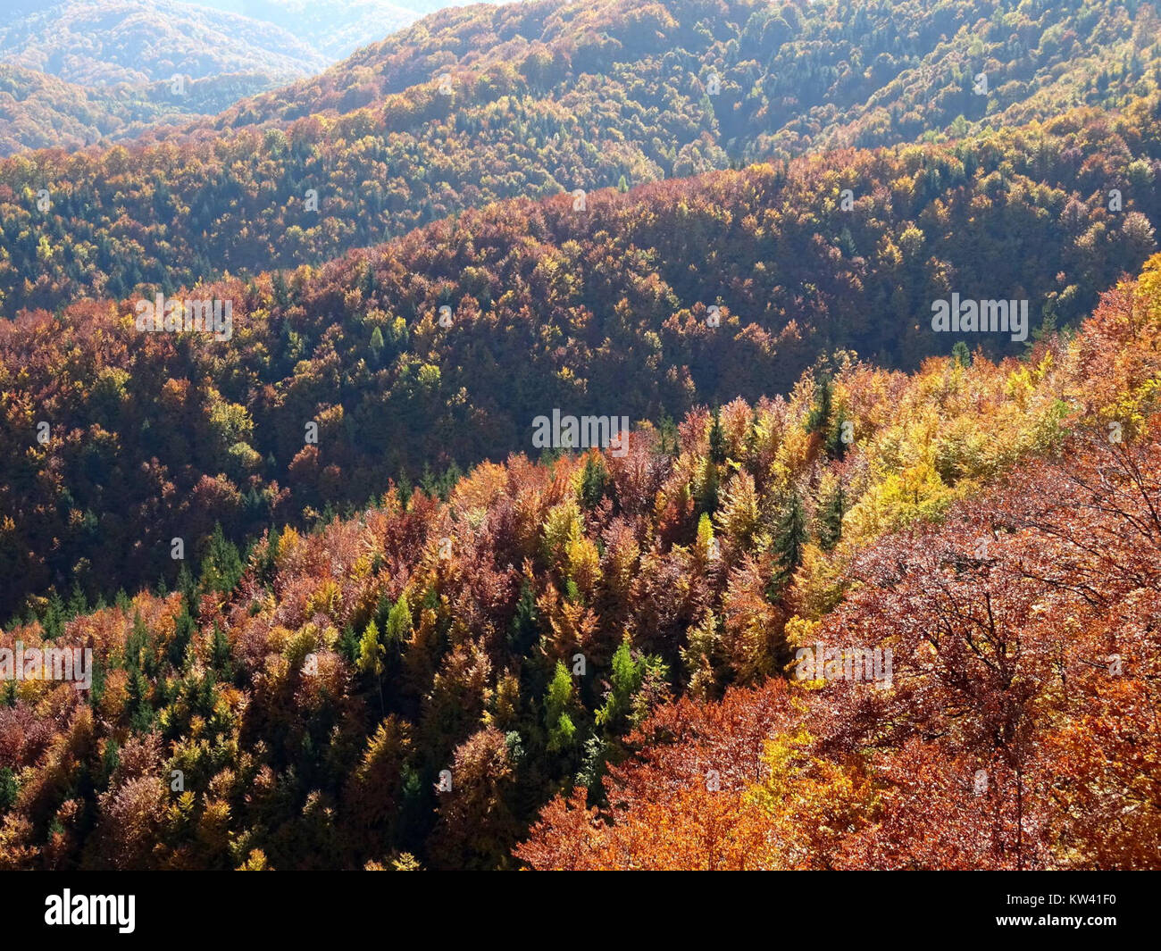 BisPagViewAutumn09 è una vista panoramica catturata in autunno, che mostra paesaggi naturali in una regione ricca di colori che cambiano. L'immagine sottolinea la bellezza dell'ambiente durante la stagione autunnale. Foto Stock