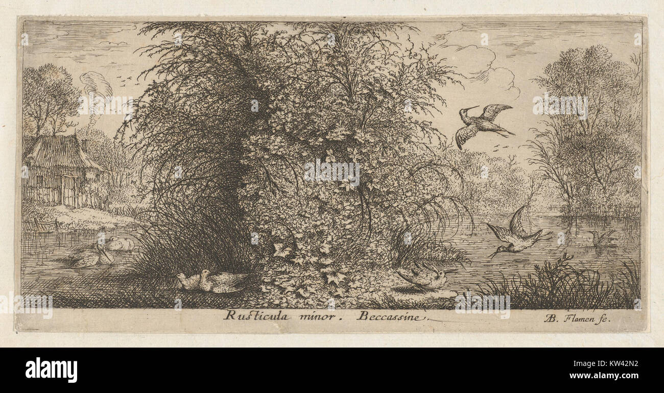 Il Libro degli uccelli è un oggetto ospitato nella collezione del Metropolitan Museum of Art, che mostra raffigurazioni dettagliate e informazioni su varie specie di uccelli. Foto Stock