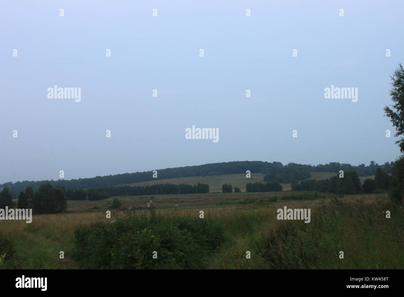 Boblovo Hill, situato in Russia, è presente in questa fotografia del 2016 scattata il 30 luglio. L'immagine cattura il paesaggio naturale della collina, evidenziandone le caratteristiche geografiche, la vegetazione e la vista panoramica dell'area circostante. Foto Stock