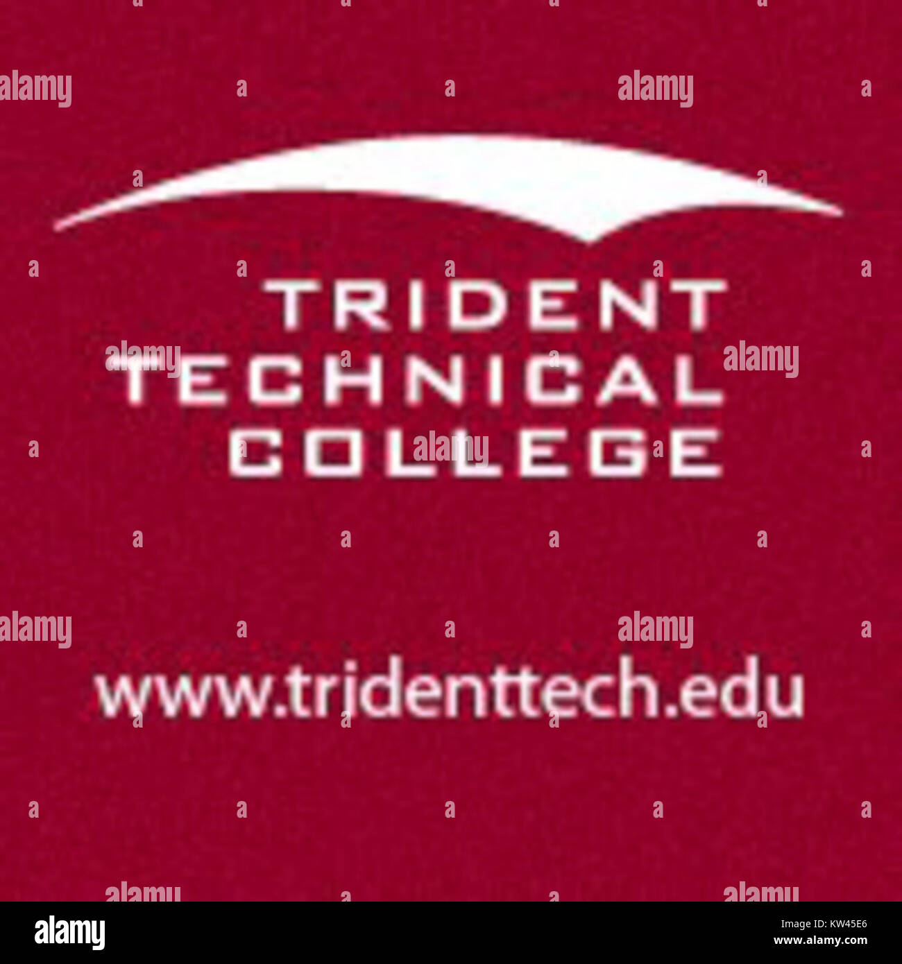 Il Trident Technical College, situato a Charleston, South Carolina, offre una varietà di programmi accademici e opportunità di sviluppo della forza lavoro. Il college è noto per la sua attenzione all'educazione tecnica e al coinvolgimento della comunità. Foto Stock