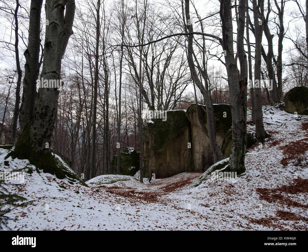 BisPagWinter00 verosimilmente si riferisce a un documento o a un'immagine specifici relativi alle attività invernali, a un evento stagionale o a un riferimento culturale a tema invernale. I dettagli possono dipendere da un contesto o da archivi aggiuntivi. Foto Stock