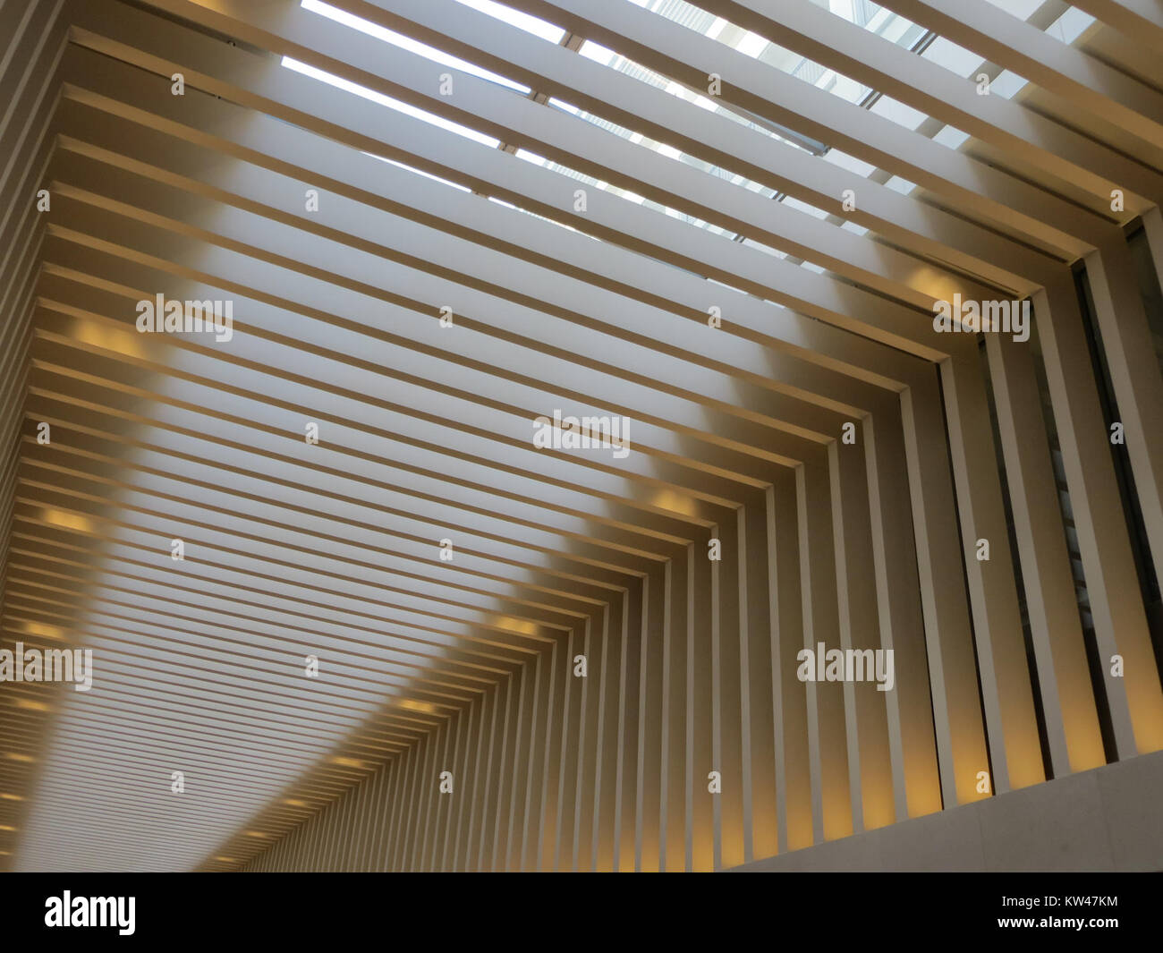 Questa immagine cattura la città di Birmingham, in Inghilterra, mostrando il suo paesaggio urbano e l'architettura moderna. Fornisce informazioni sulla crescita e lo sviluppo della città. Foto Stock