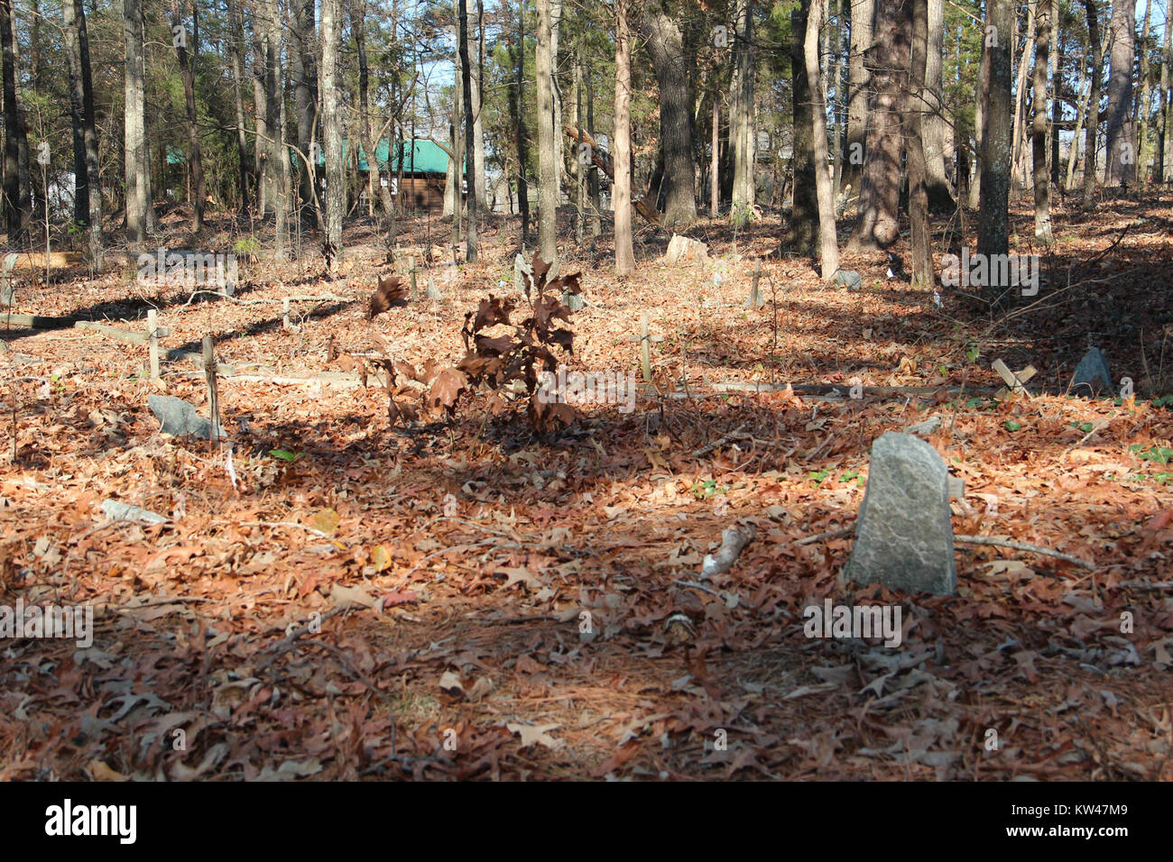 Il Black Pioneers Cemetery di Euharlee, Georgia, contiene marcate tombe di pionieri afroamericani che hanno avuto un ruolo significativo nella storia della zona. L'immagine del febbraio 2017 mette in evidenza la commemorazione rispettosa dei contributi di questi individui. Foto Stock