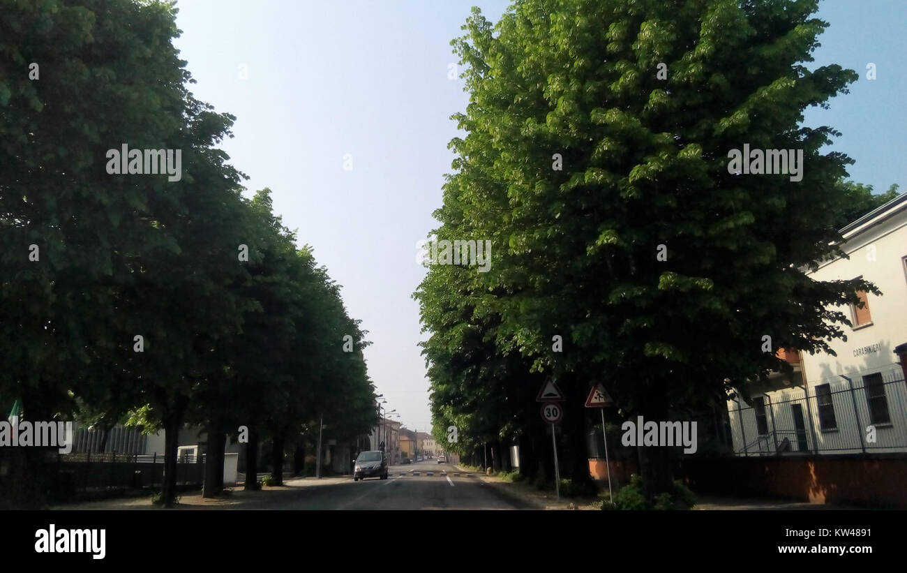 Borgo Virgilio è un comune italiano della provincia di Reggio Emilia. Conosciuto per la sua campagna panoramica, Borgo Virgilio offre una ricca storia culturale e un'importanza agricola nella regione Emilia-Romagna. Foto Stock