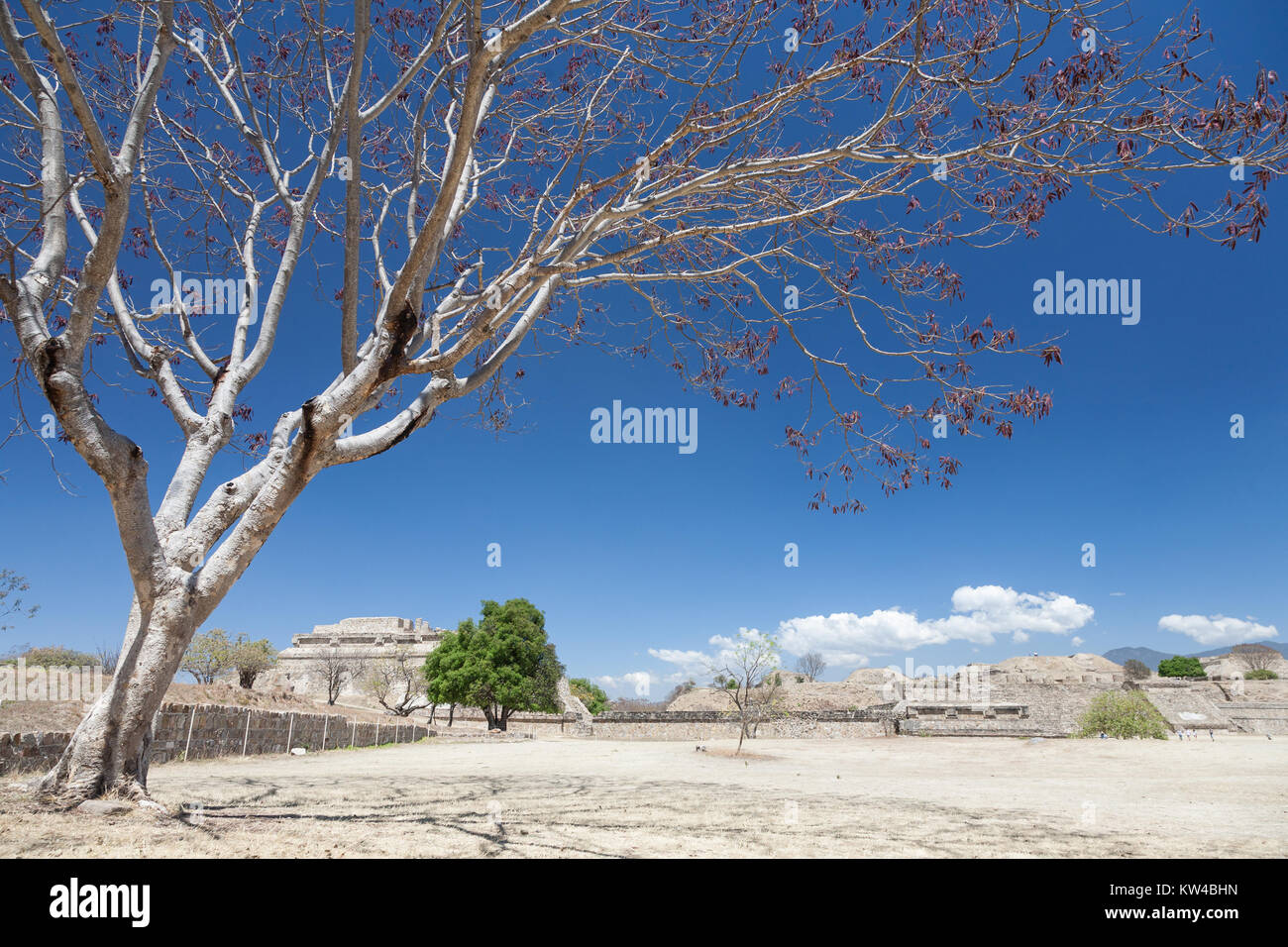 Vista del Monte Alban, una grande pre-colombiano sito archeologico di Santa Cruz Xoxocotlan comune, Oaxaca Stateб Messico. Appartiene alla lista dei UNESC Foto Stock