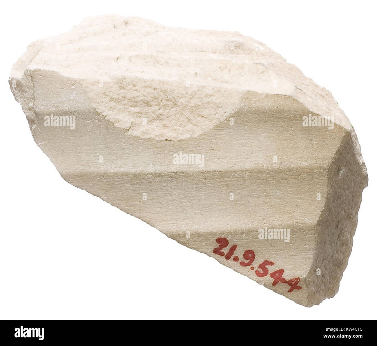 Body with Garment, un arazzo fiammingo del XVI secolo ospitato nel Metropolitan Museum of Art, che illustra le intricate tecniche di tessitura e gli stili artistici del periodo. Foto Stock