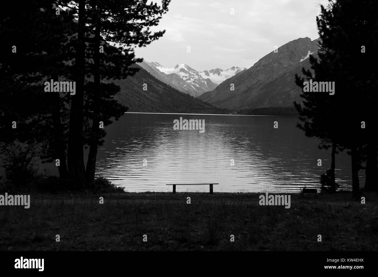 Banco per il relax con una vista sulle Alpi di notte in Austria. banco vuoto in natura. in bianco e nero grim foto Foto Stock
