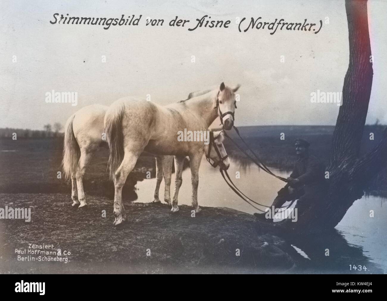 Soldato tedesco con due cavalli, con didascalia originale lettura Stimmungsbild von der Aisne (Nordfrankr.), 1900. Nota: l'immagine è stato colorizzato digitalmente usando un processo moderno. I colori possono non essere periodo-precisa. Foto Stock