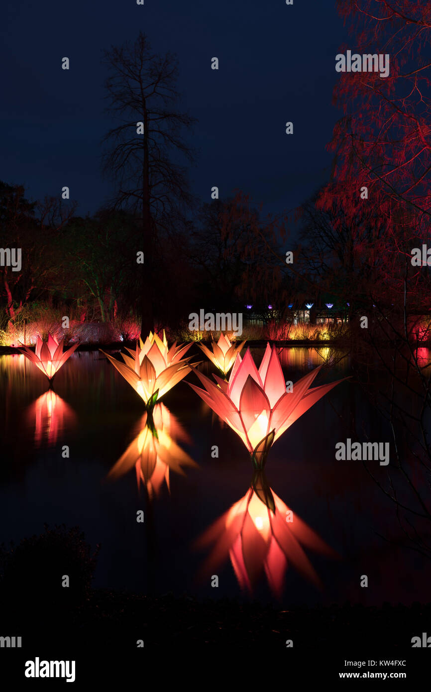 Natale lago flottante fiori e luci ad albero a RHS Wisley Gardens, Surrey, Inghilterra. Natale Glow Festival 2017 Foto Stock