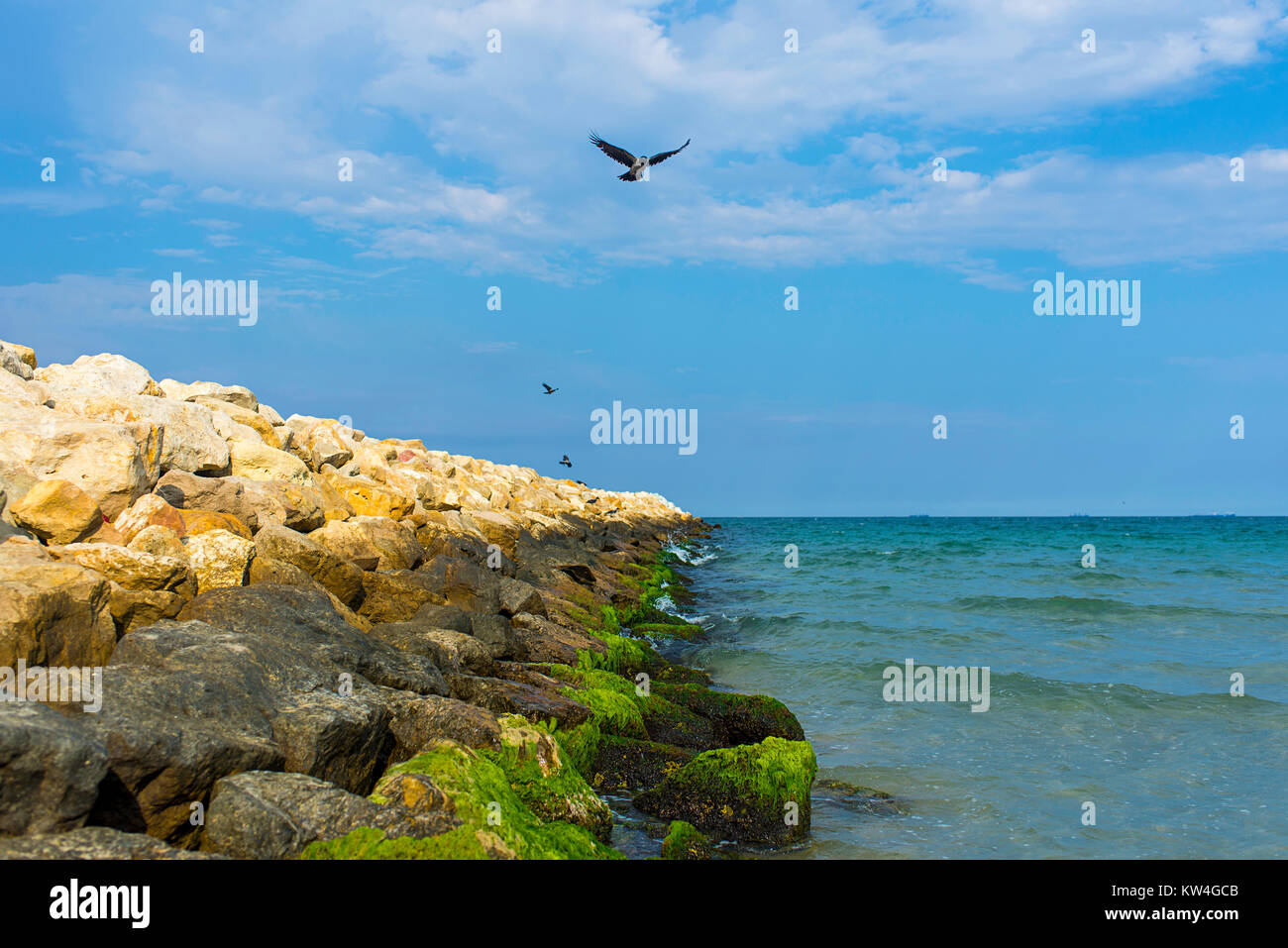 Il litorale del Mar Nero in Constanta, Romania Foto Stock