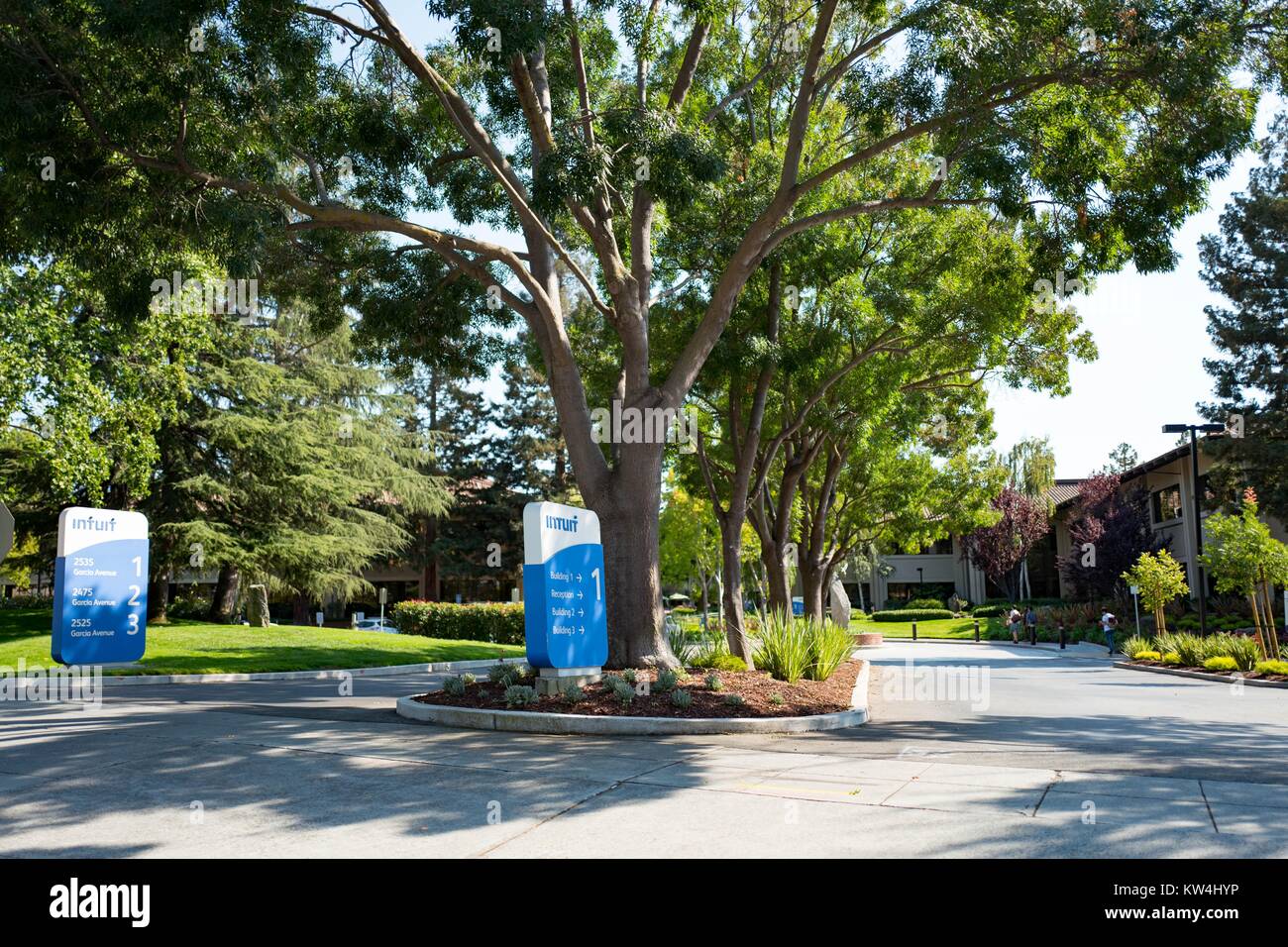 Digital Signage con loghi nei pressi di un viale alberato viale di accesso presso la sede di software finanziario azienda Intuit in Silicon Valley Town di Mountain View, California, 24 agosto 2016. Foto Stock