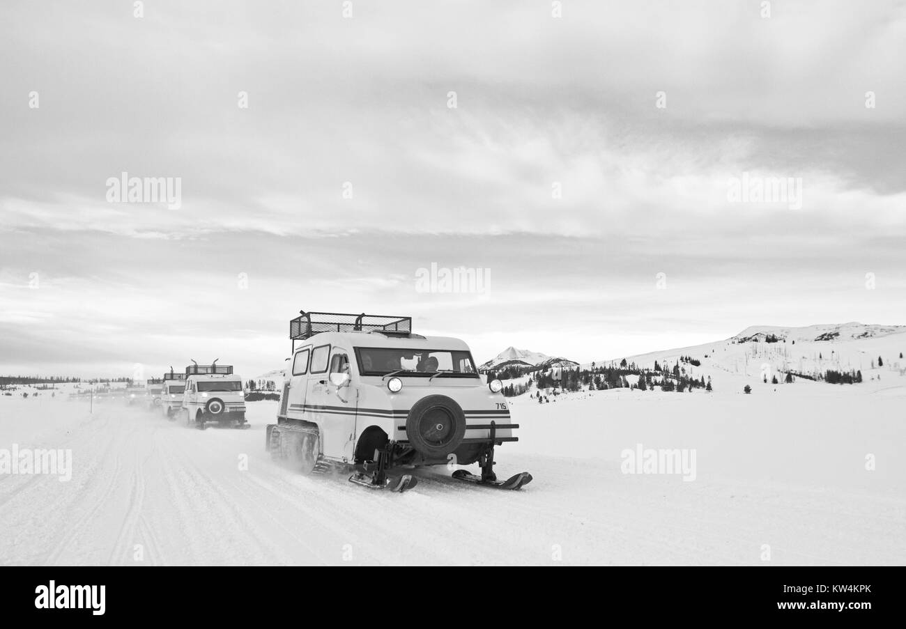 Xanterra Bombardier snowcoaches presso il Lago dei Cigni appartamenti, il Parco Nazionale di Yellowstone, Wyoming 2016. Immagine cortesia Jim Peaco/Parco Nazionale di Yellowstone. Foto Stock