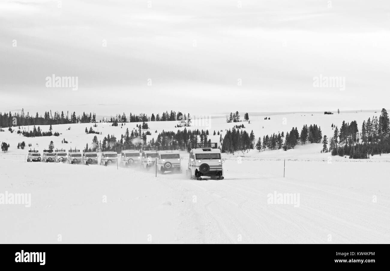 Xanterra Bombardier snowcoaches presso il Lago dei Cigni appartamenti, il Parco Nazionale di Yellowstone, Wyoming 2016. Immagine cortesia Jim Peaco/Parco Nazionale di Yellowstone. Foto Stock