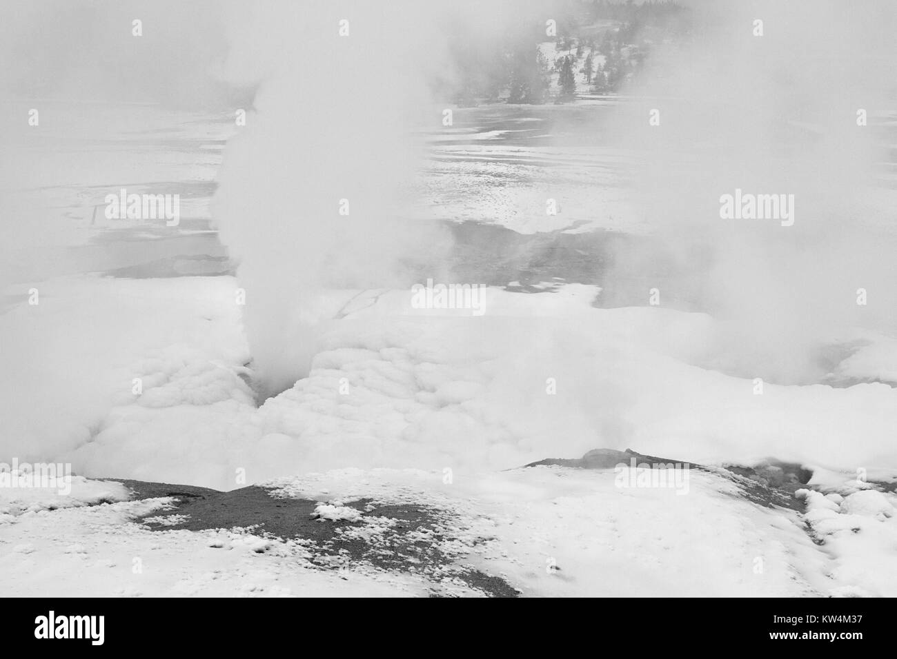 Custode geyser del Norris Geyser Basin, il Parco Nazionale di Yellowstone, Wyoming Dicembre 4, 2015. Immagine cortesia Jim Peaco/Parco Nazionale di Yellowstone. Foto Stock
