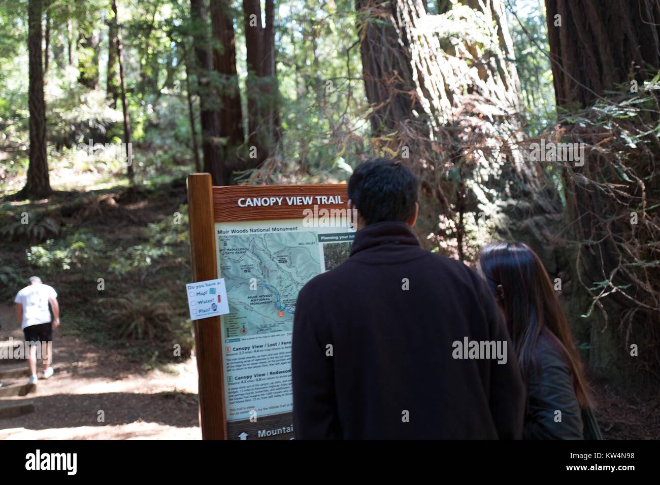 Un paio di stand e leggere un cartello informativo Circa la tettoia Trail a Muir Woods National Monument, Mill Valley, California, 5 settembre 2016. Foto Stock