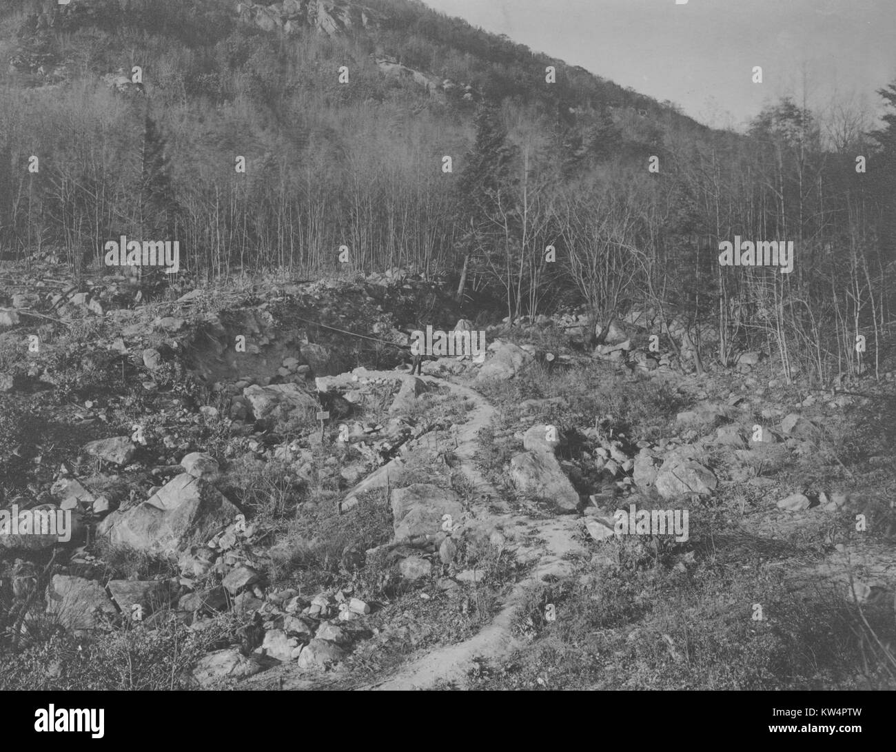 Repentine taglia-e-coperchio, tipica del paese attraversato in Putnam County, New York, 1909. Dalla Biblioteca Pubblica di New York. Foto Stock