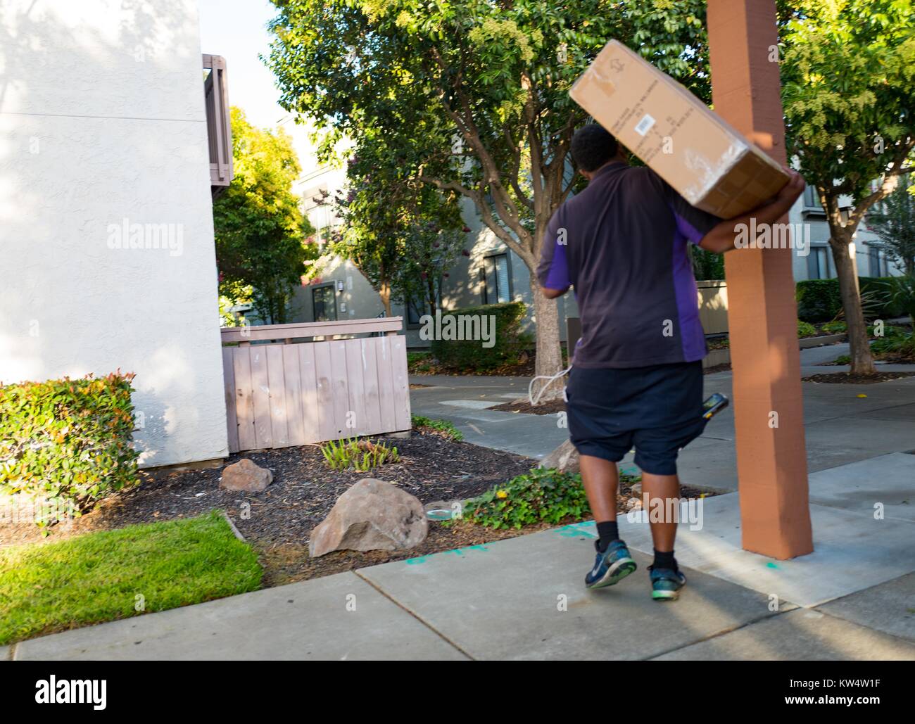 Vista da dietro di una consegna Fedex persona che porta con sé una grande scatola di cartone sulla sua spalla mentre si effettua una consegna ad un complesso di appartamenti a Walnut Creek, California, 13 settembre 2016. Foto Stock