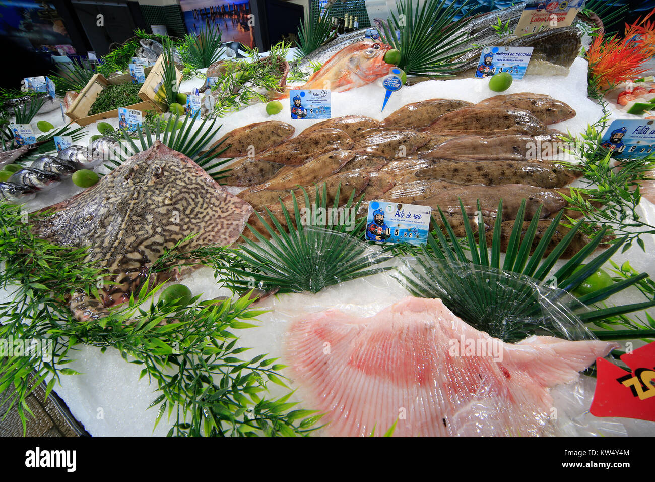 Mercato del pesce in stallo in Francia con una varietà di pesce e frutti di mare in offerta con i cartellini dei prezzi Foto Stock