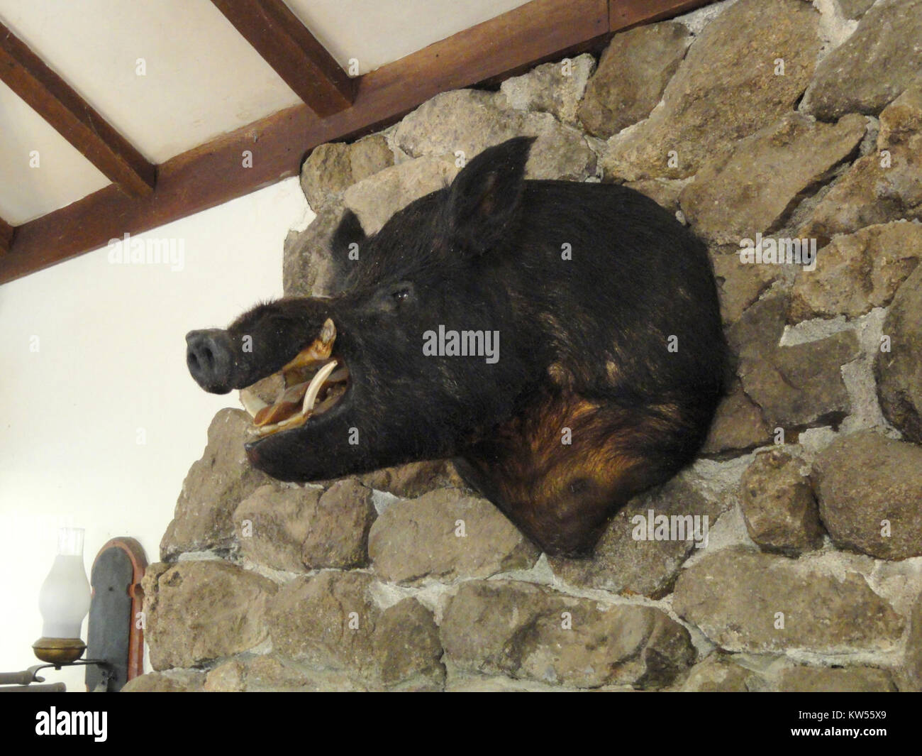 Il Boar Head Museum, situato all'interno del Garland Ranch Regional Park, espone mostre incentrate sulla fauna locale e sull'ambiente naturale. Il parco offre ai visitatori la possibilità di esplorare la storia regionale e le attività all'aperto in un ambiente naturale. Foto Stock