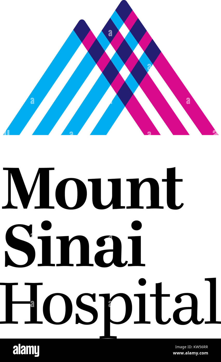 Questa immagine mostra la rappresentazione virtuale dell'ospedale MSMC (Mount Saint Mary's College) in formato RGB (rosso, verde, blu), probabilmente utilizzato per l'imaging medico o la documentazione digitale delle infrastrutture ospedaliere. Foto Stock