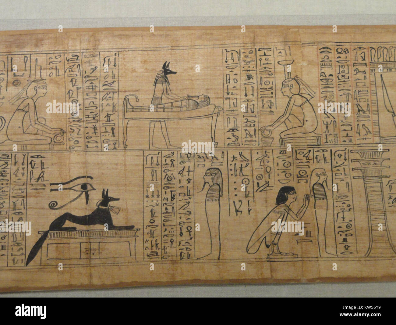 Immagine di una sezione di papiro del Libro dei morti di Hori, risalente al 1969-945 a.C. circa, nuovo Regno, Dinastia 21, ospitato nel Cleveland Museum of Art Foto Stock