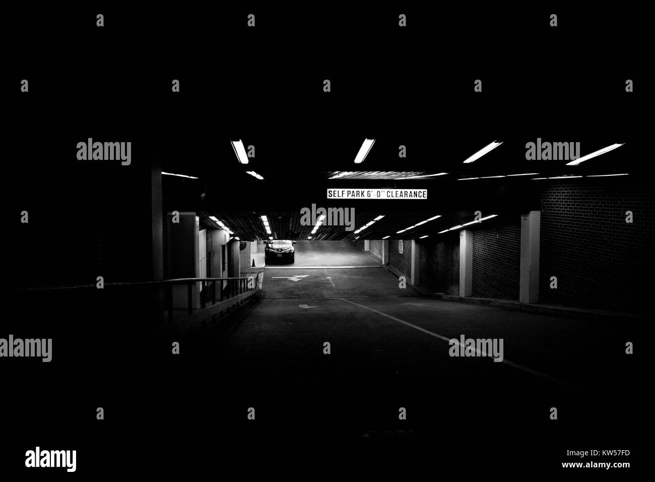 Questa immagine presenta una fotografia in bianco e nero di un'auto di colore scuro, che si concentra sul design del veicolo e sull'impatto estetico della sua presentazione monocromatica. Foto Stock