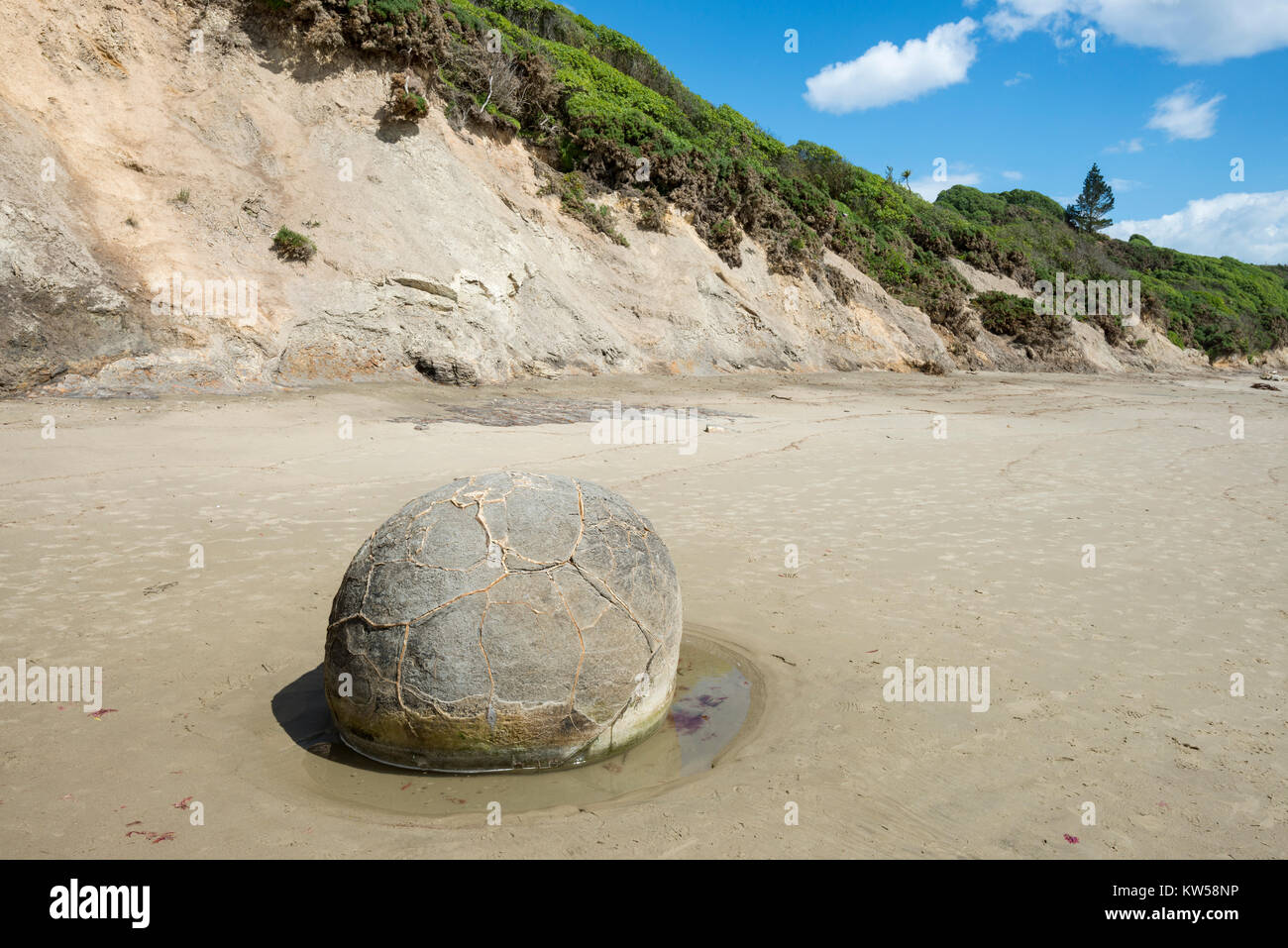 Moeraki Boulders, Otago, Nuova Zelanda Foto Stock