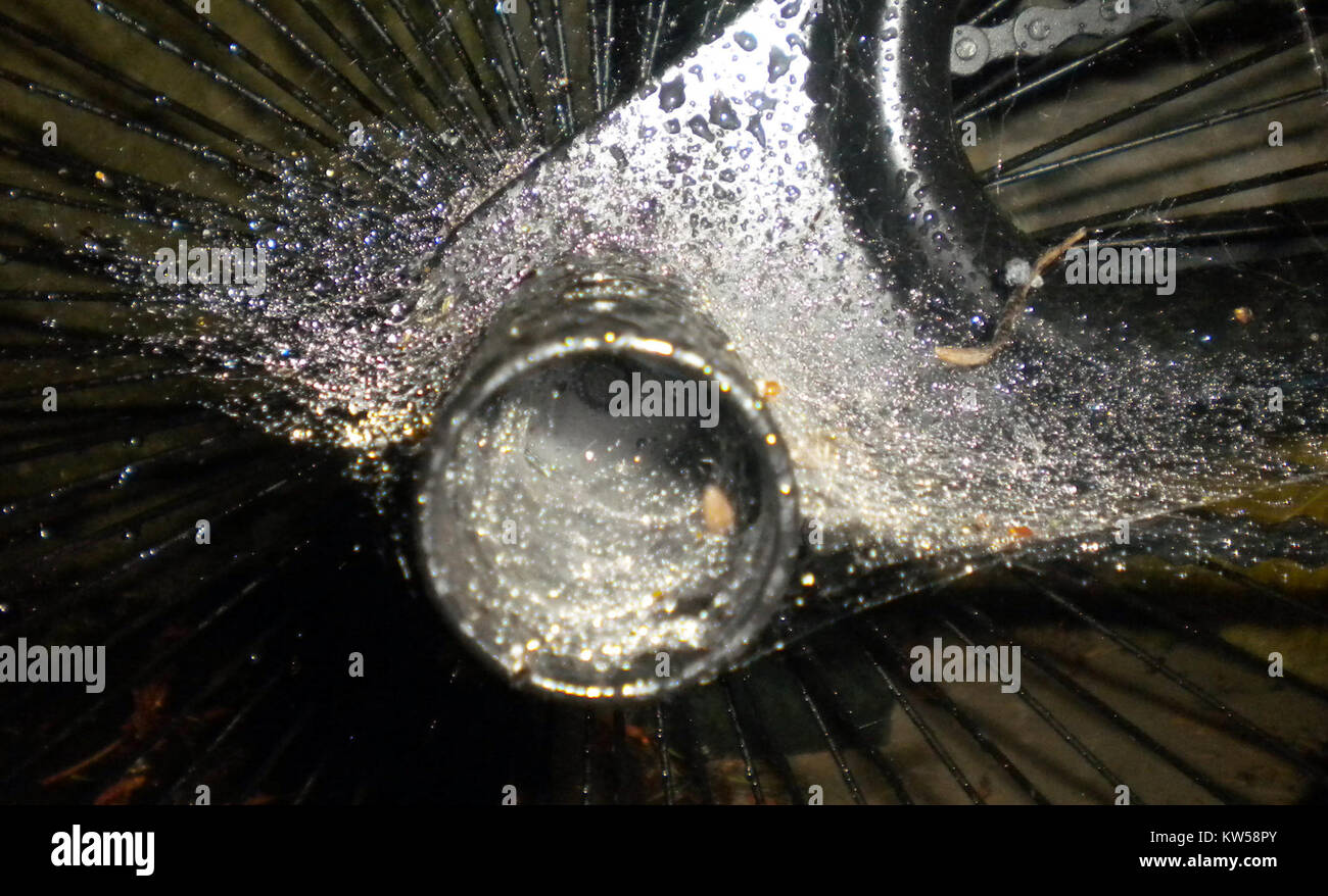 Questa fotografia cattura l'intricato design delle ragnatele formate su una moto BMX dopo la pioggia. Le reti bagnate mostrano delicati motivi naturali e mettono in risalto l'intersezione tra natura e vita urbana. Foto Stock