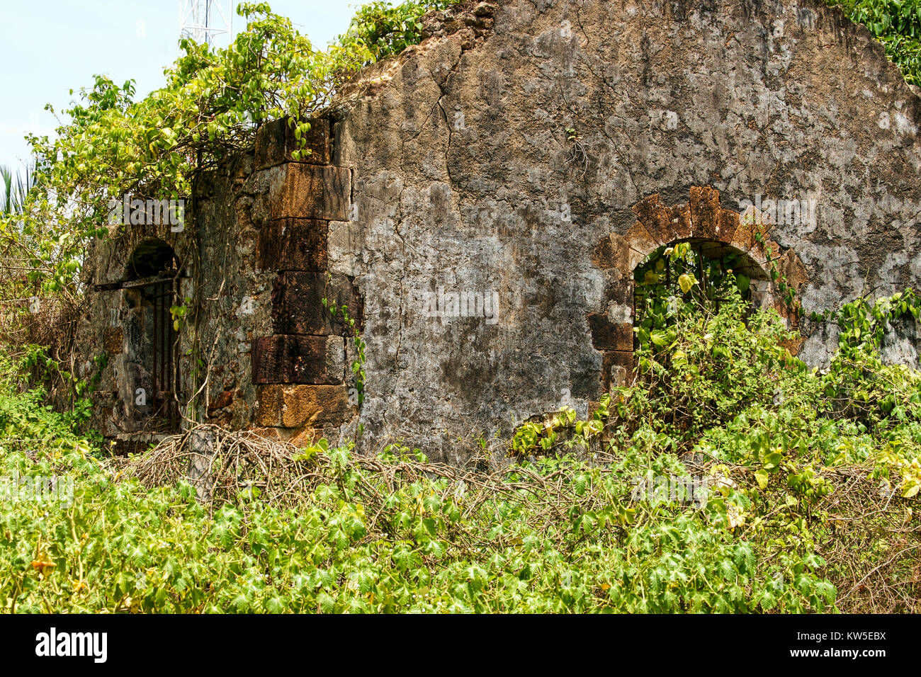Le rovine di una vecchia prigione francese di edifici. Guiana francese, Devil's Island. Le barre possono ancora essere viste sul finestrino laterale. Isla Royale. Foto Stock