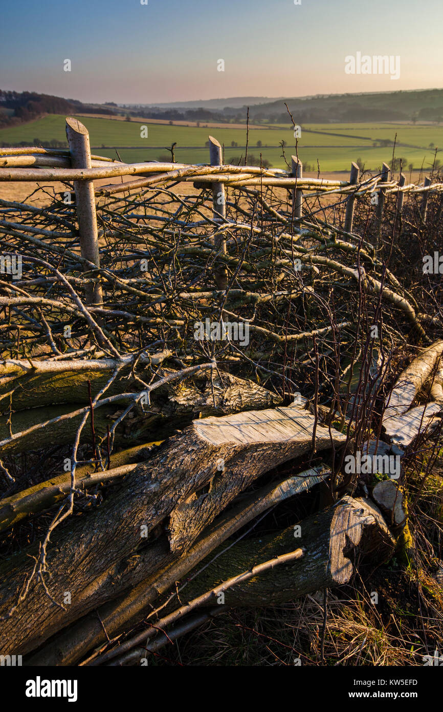 Tradizionalmente prevista siepe e terreni agricoli nei pressi di Winchcombe, Gloucestershire, Regno Unito Foto Stock