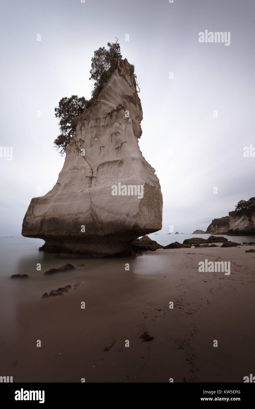 Hoho te Rock stack del mare sovrasta un moody e atmosferica Cove della cattedrale, vicino Hahei sulla Penisola di Coromandel, Isola del nord, Nuova Zelanda Foto Stock
