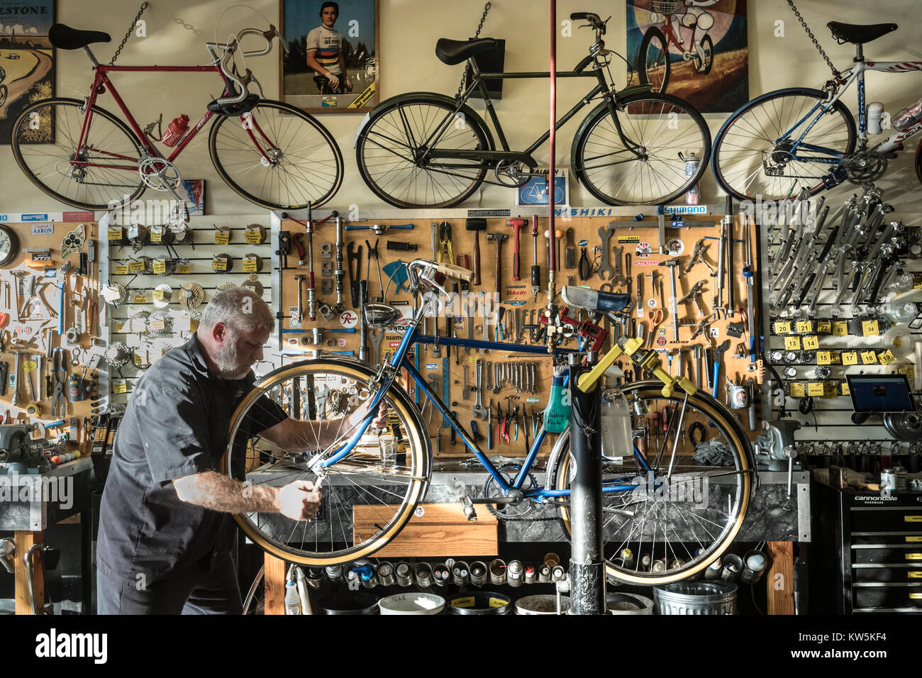 Un meccanico che lavora su una bicicletta la regolazione della ruota anteriore. Foto Stock