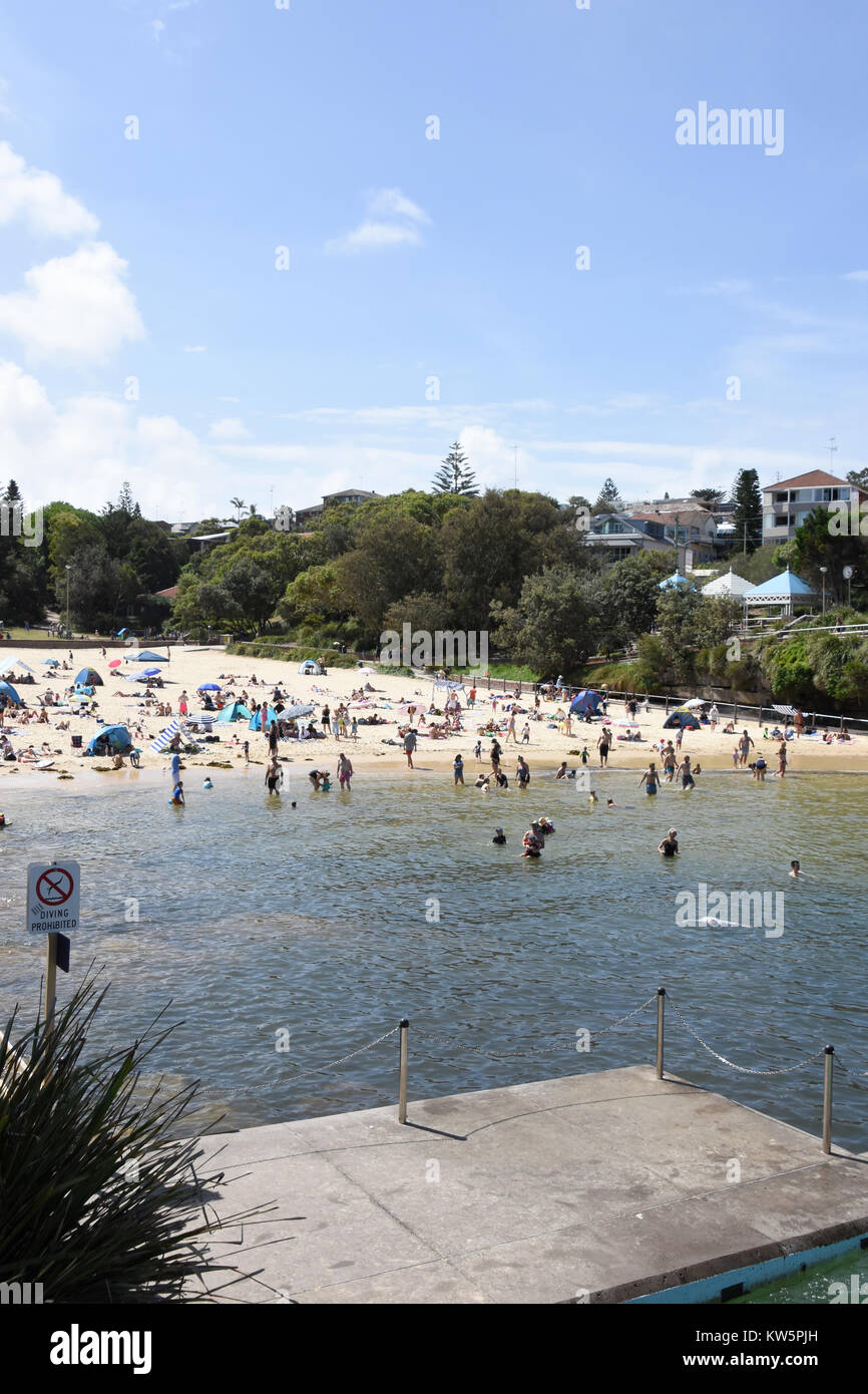 Area della spiaggia di Clovelly Bay, Sydney, Nuovo Galles del Sud, Australia Foto Stock