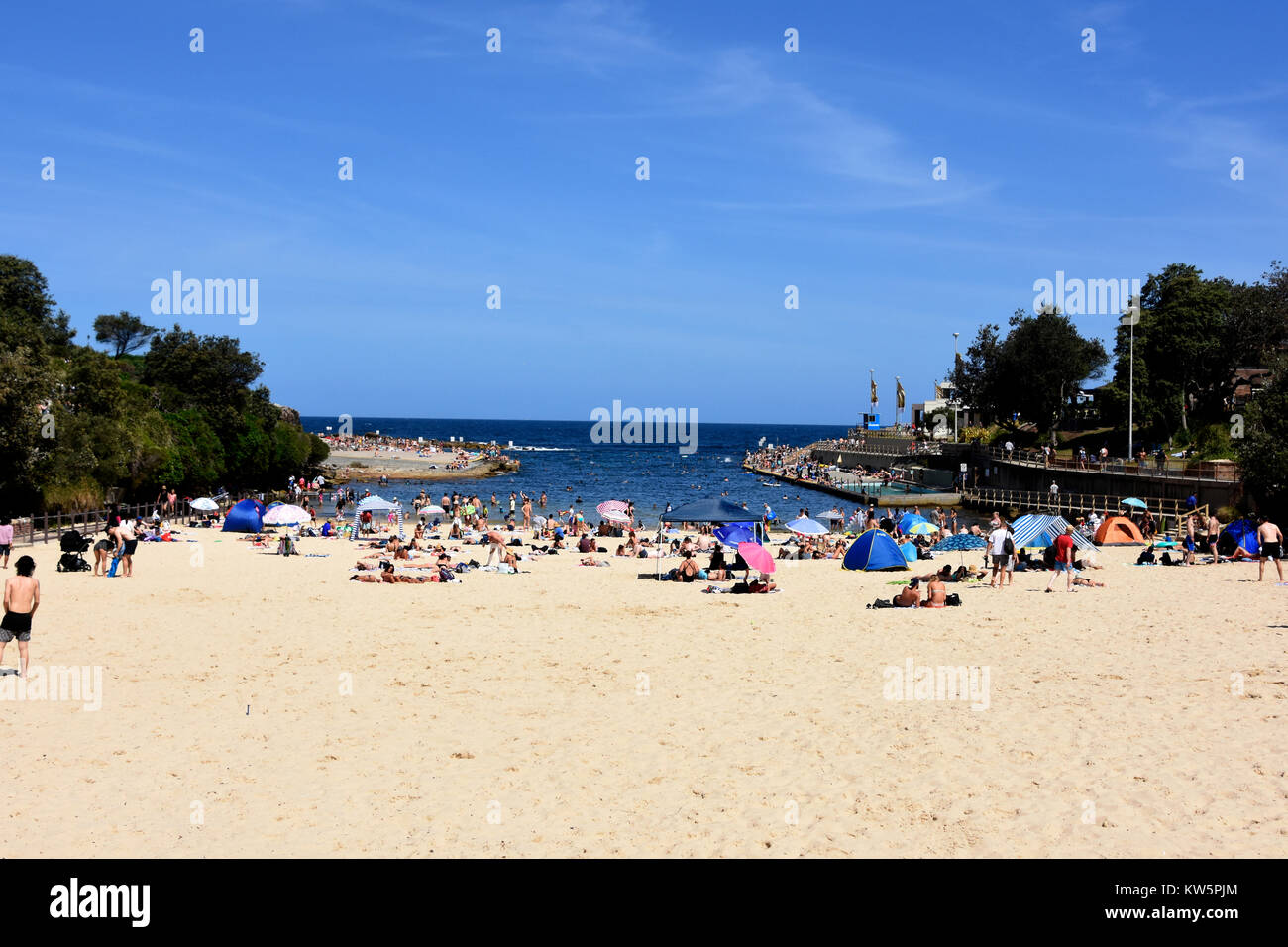 Area della spiaggia di Clovelly Bay, Sydney, Nuovo Galles del Sud, Australia Foto Stock