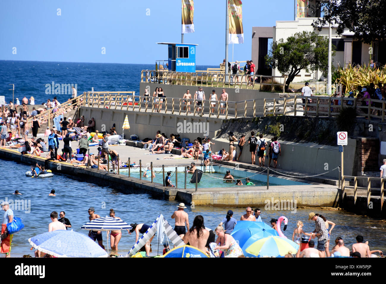 Clovelly Bay, bathjs naturale e area della spiaggia principale di Sydney, Nuovo Galles del Sud, Australia Foto Stock